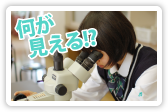何が見える！？